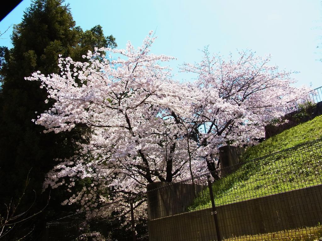 Guesthouse Engawa Kyoto Chambre photo